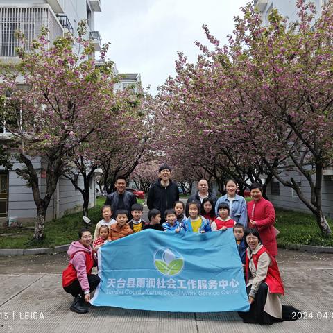 收集春天，留住春日美好 ——天台县实验小学一（5）