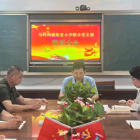 菏泽鲁西新区马岭岗镇张堂小学联合支部2025年第二季度党员大会