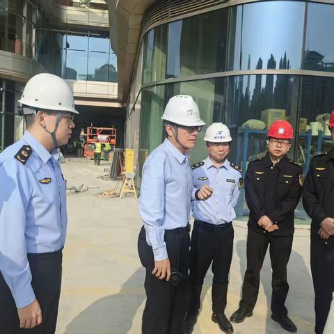 【南山局沙河所】南山局党组成员、副局长熊春晖协同特检院专家率队赴绿景白石洲项目进行交楼前电梯安全专项检查