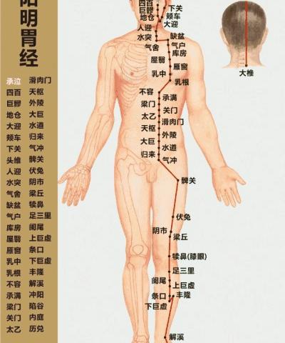 霜降至，露成霜——二四节气之霜降