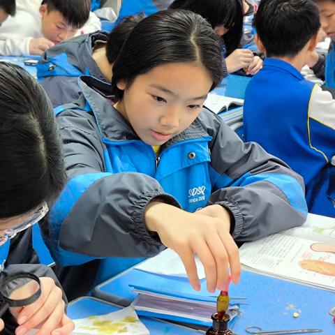 “生”动活泼，“研”之有物——新化县思沁学校初中生物教研组工作总结