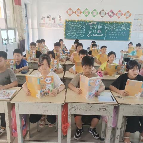 新宇小学五三班第三周学校生活掠影