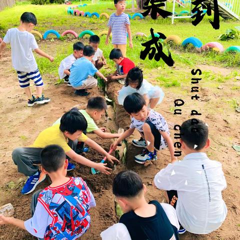 🌸“绚烂多姿，缤纷七月”—艾孚幼儿园启慧班课程集锦