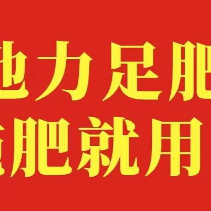 土大厨功效肥——新疆葫芦瓜棉花全年分享