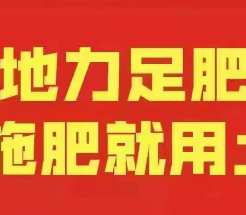 上市最早 价格最高 品质优质——土大厨双河市“红提”葡萄观摩会