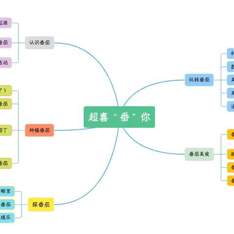 文昌小菜园里的课程故事——超喜“番”你