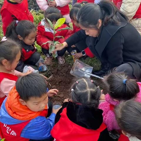 阳春三月，“植”得期待——丰都县栗子乡中心幼儿园植树节活动