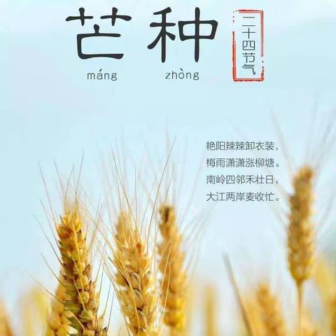 心向光茫，种下希望——二十四节气之芒种