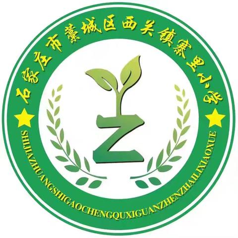 “努力奋进正当时——别样复习 别样精彩”——寨里小学升旗仪式