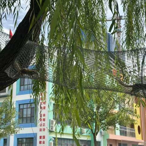 幼儿园里的小动物