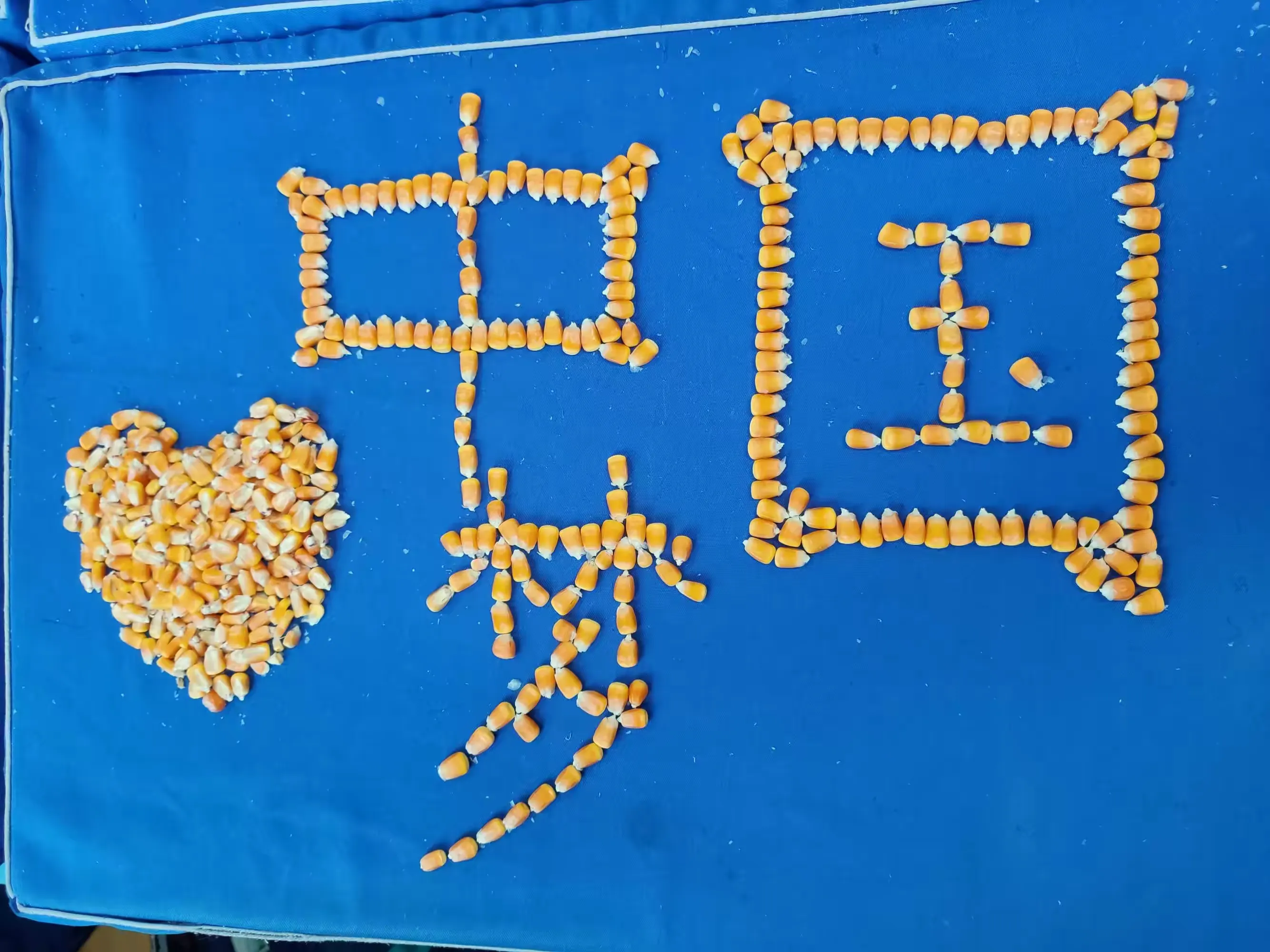 简篇-劳动砺心志,实践促成长——南关小学四年级五班劳动实践活动