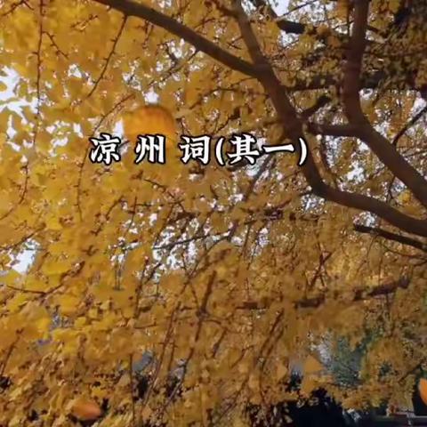 8《唐诗课程》之《凉州词》