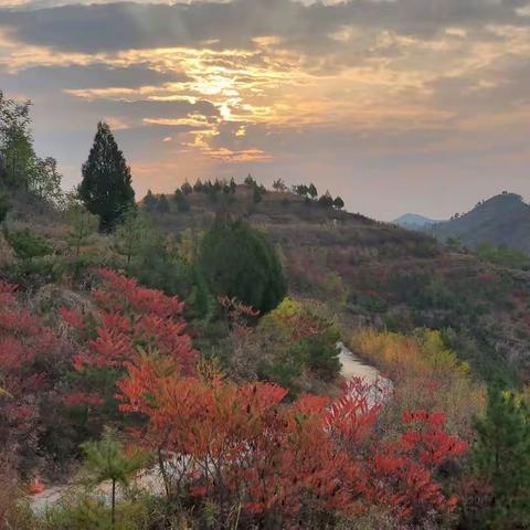 10.23高三生物备课组活动记录