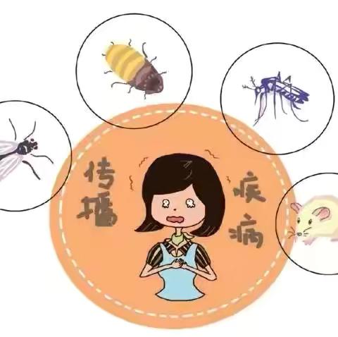 除“四害”护健康——徐套乡中心幼儿园病媒生物防制宣传