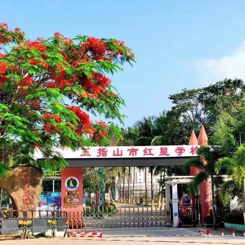 教学述评促成长 笃行不怠向未来——附中红星学校五年级教师述评简报