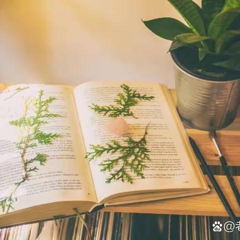 阅享人生——深井九年制学校教师假期读书活动