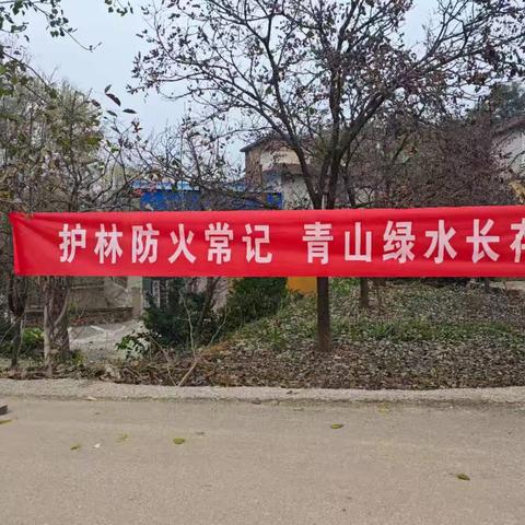 严防森林草原火灾，守护涉县绿水青山