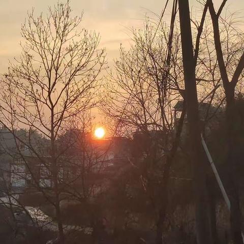 吴江涛寒假作业