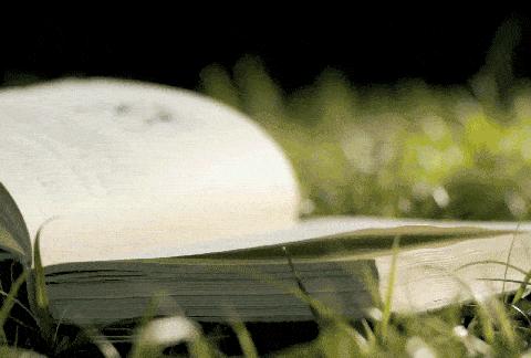 “读书成就梦想   知识照亮人生”——汝州市煤山街道办事处骑庄小学第七期读书分享交流会