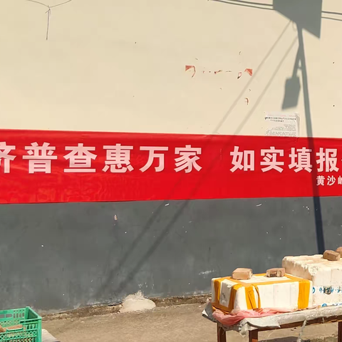 黄沙岭乡全力推进第五次全国经济普查工作