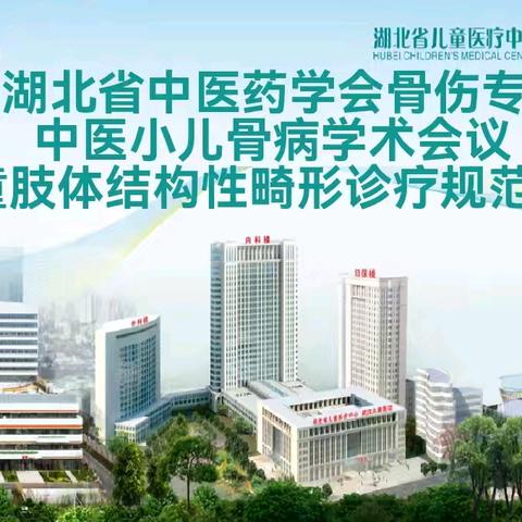 聚焦儿童骨病，共谋规范诊疗——2025年湖北省中医药学会骨伤专业委员会中医小儿骨病学术会议圆满落幕