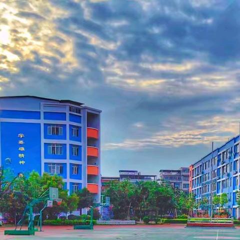 钦州市子材小学2025年秋季学期第二次边境教育结对帮扶活动纪实