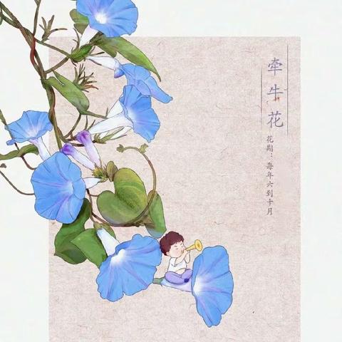 牵牛花，吹喇叭 🎺滴滴滴～                    ——竹苑幼儿园中一班