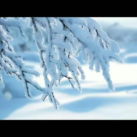 【冬雪映美景   雪人笑语欢】——海育幼儿园永靓分园初雪主题活动