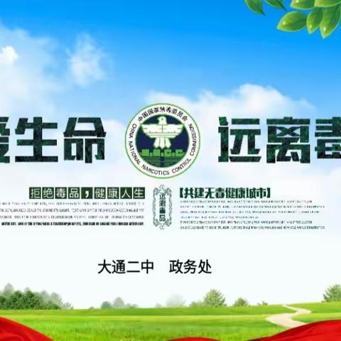 依法禁毒健康我你他 无毒无忧盛开青春花