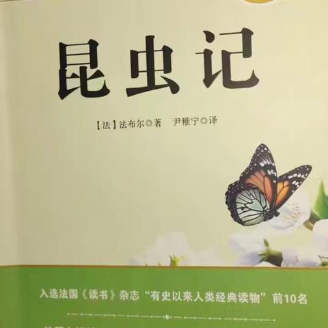 读享一夏，乐游书海 ——八（6）班暑假阅读之李一诺