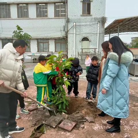 我与小树共成长，绿美校园同行动 ——羊角镇中心小学开展植树绿化活动