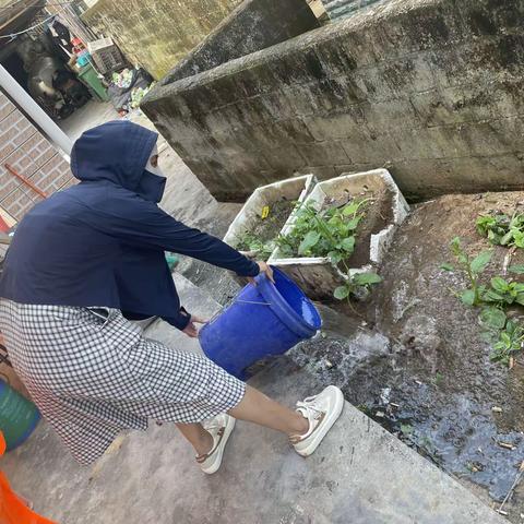 灭蚊防病 默默无“蚊”——海棠区卫健委组织开展灭蚊防病专项行动