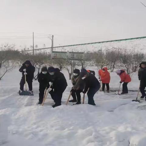 扫雪除冰保安全 志愿服务暖人心 ——扎兰屯市220支“石榴籽”志愿服务队积极开展清雪劳动