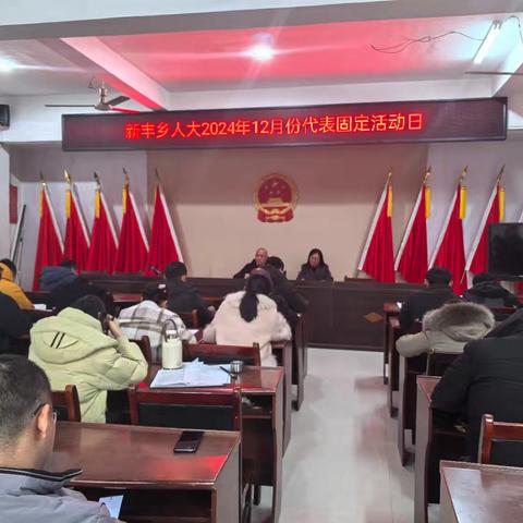 新丰乡人大2024年12月份代表固定活动日