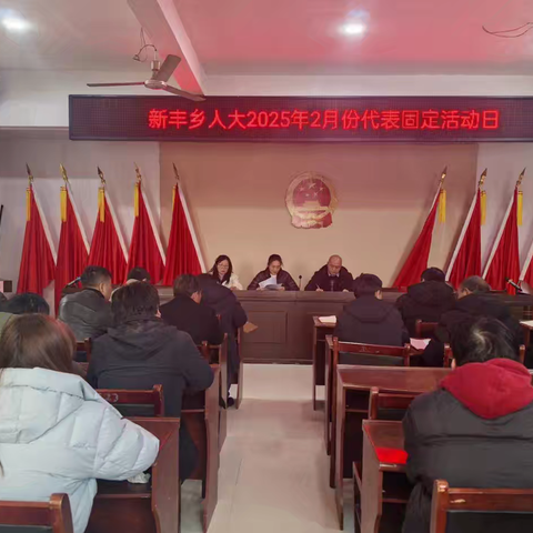 新丰乡2025年2月份人大代表固定活动日