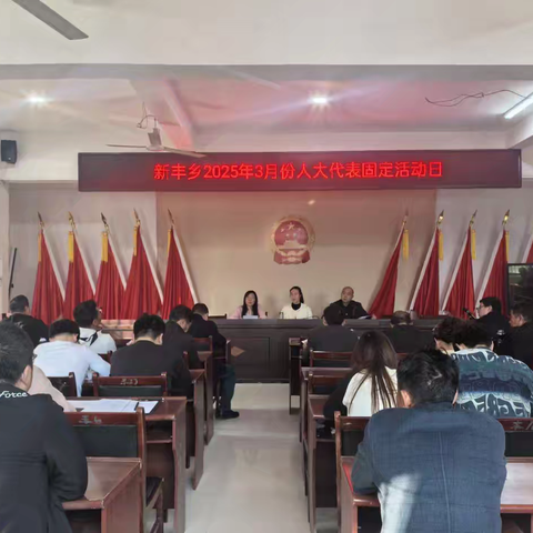 新丰乡2025年3月份人大代表固定活动日