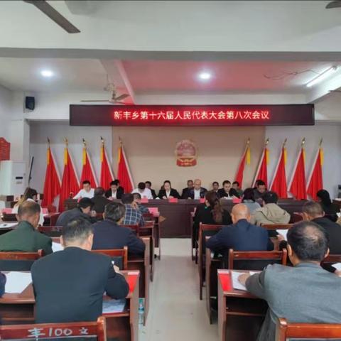 新丰乡人大2025年4月份代表固定活动日 暨新丰乡第十六届人民代表大会 第八次会议