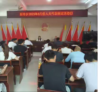 新丰乡人大2025年6月代表固定活动日