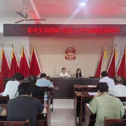 新丰乡人大2025年7月代表固定活动日