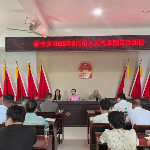 新丰乡人大2025年8月代表固定活动日