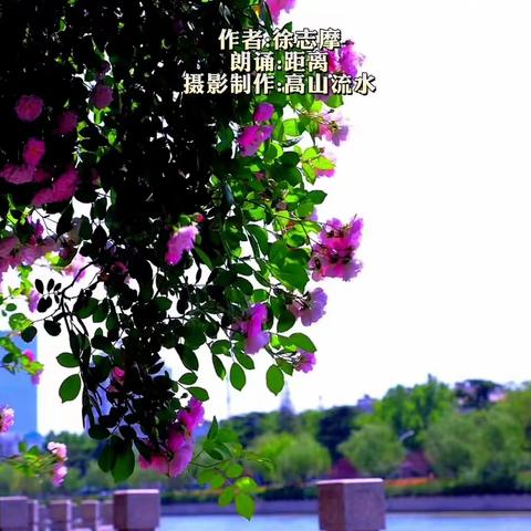 认识你真好