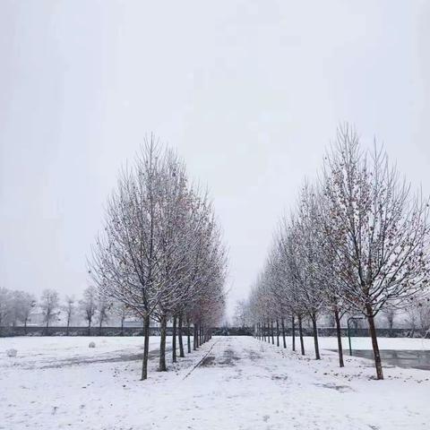 天降瑞雪，欢乐校园——角杯初中冬日玩雪记