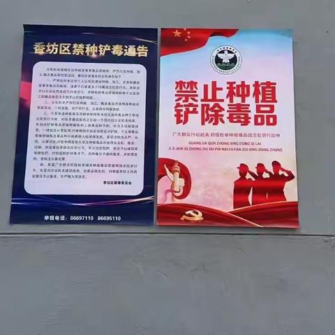 宣传踏查齐发力，禁种铲毒“零距离”—松园社区开展禁毒踏查行动