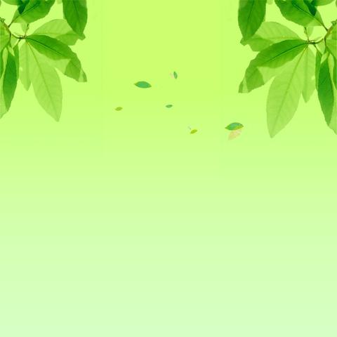 乐亭县市场监督管理局构建集贸市场计量器具监管新格局