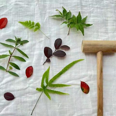 秋日漫时光，相约“趣”寻秋