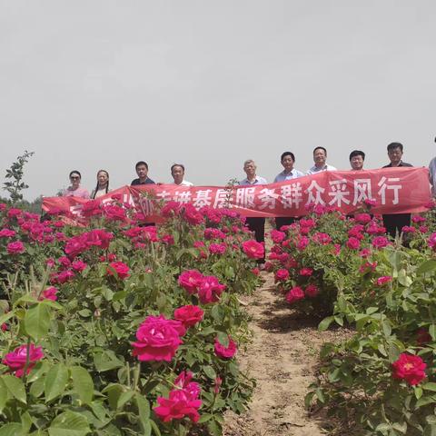 文化创作进基层，诗写玫瑰颂家乡