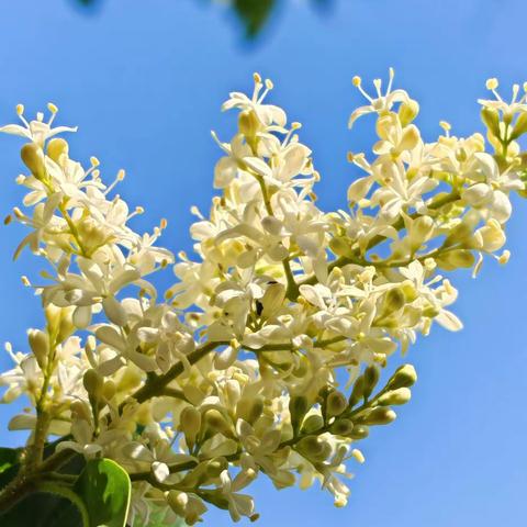 爱心捐赠课桌椅   情暖乡村盼学娃