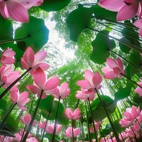 温情中秋   爱洒人间