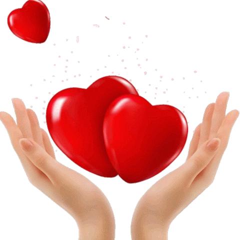 东金公益爱心课桌椅捐赠仪式圆满落幕