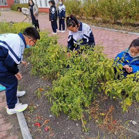 开心劳动      “人生在勤，勤则不匮。”幸福不会从天降，美好生活靠劳动创造。品味劳动的酸甜苦辣，体验美好生活，做时代新少年！